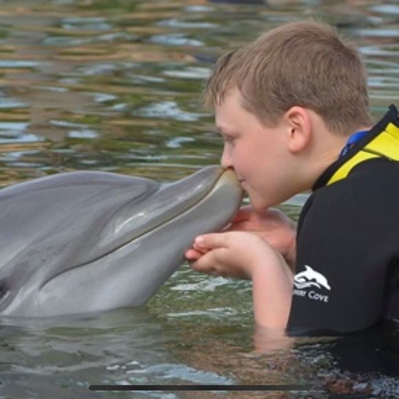 Meet your Posher, Joe - Picture 1 of 1